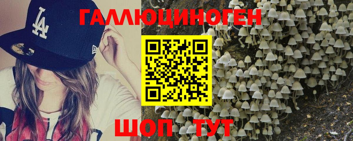 Псилоцибиновые грибы Psilocybe  Вход с VPN  Донской 